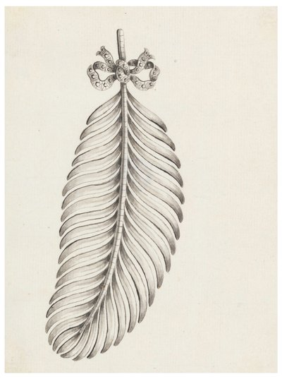Design for a Brooch in Shape of a Feather by Unknown